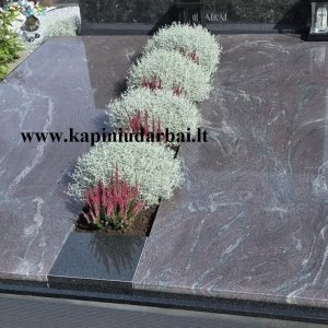 Kapavietė Nr. 509
